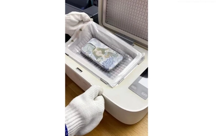 Где находятся кролики?